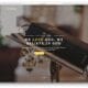 free church website templates