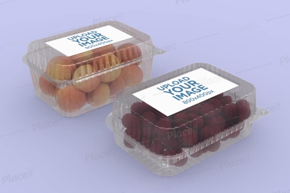 mockup of two clear food boxes