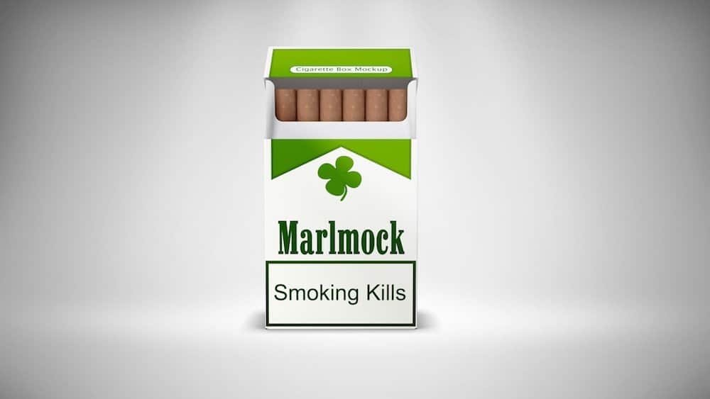 Download 13 Best Box and Cigarette Mockups 2021 - ULTIDA