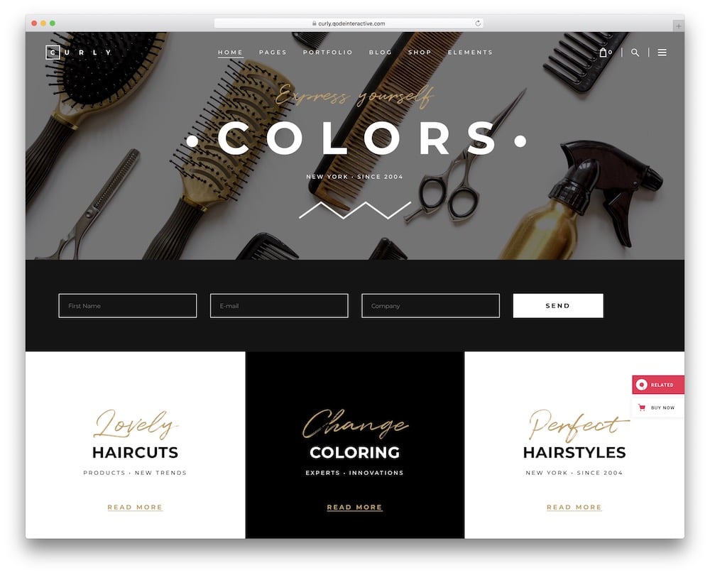 curly hair salon wordpress theme