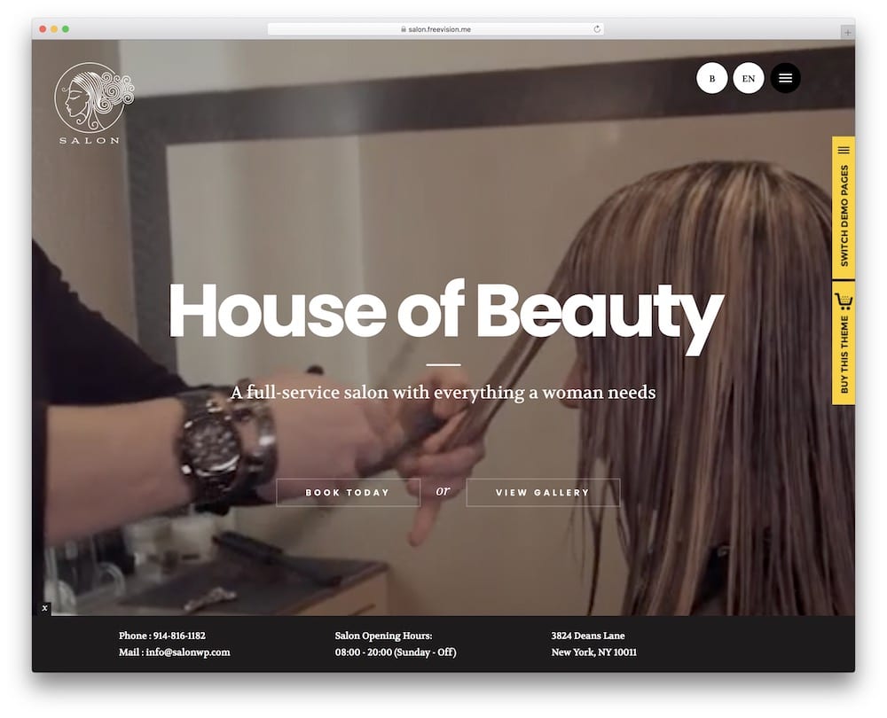 salon wordpress theme