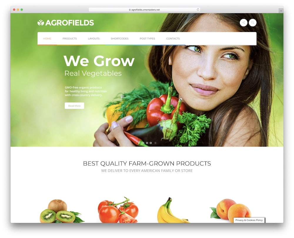 14 Best Grocery WordPress Themes (In 2024) ULTIDA