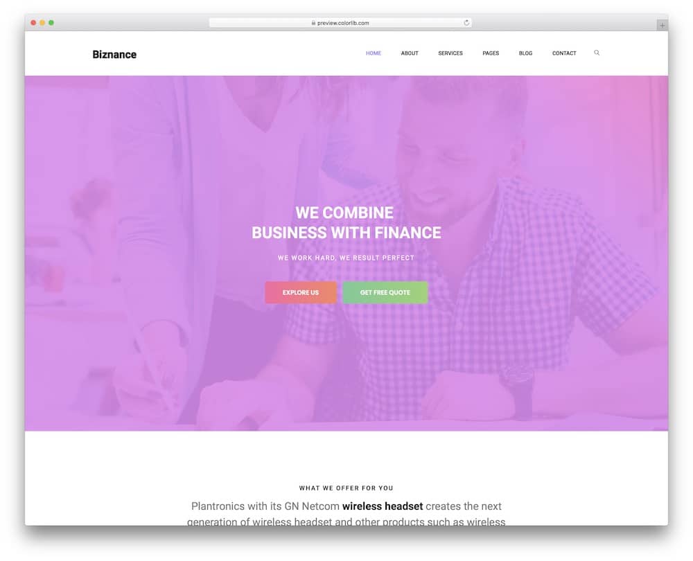 biznance accounting website template