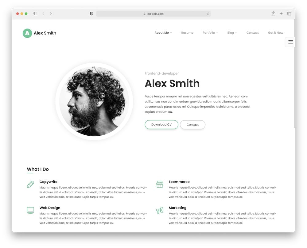 leven biography wordpress theme