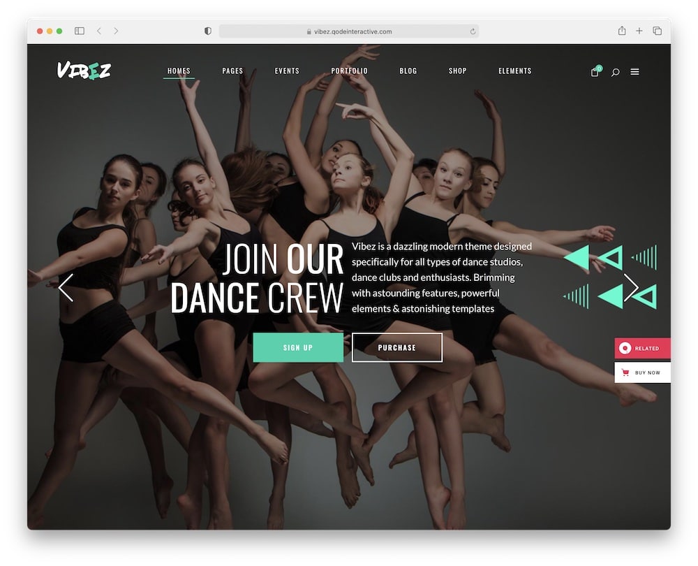 vibez dance academy website theme