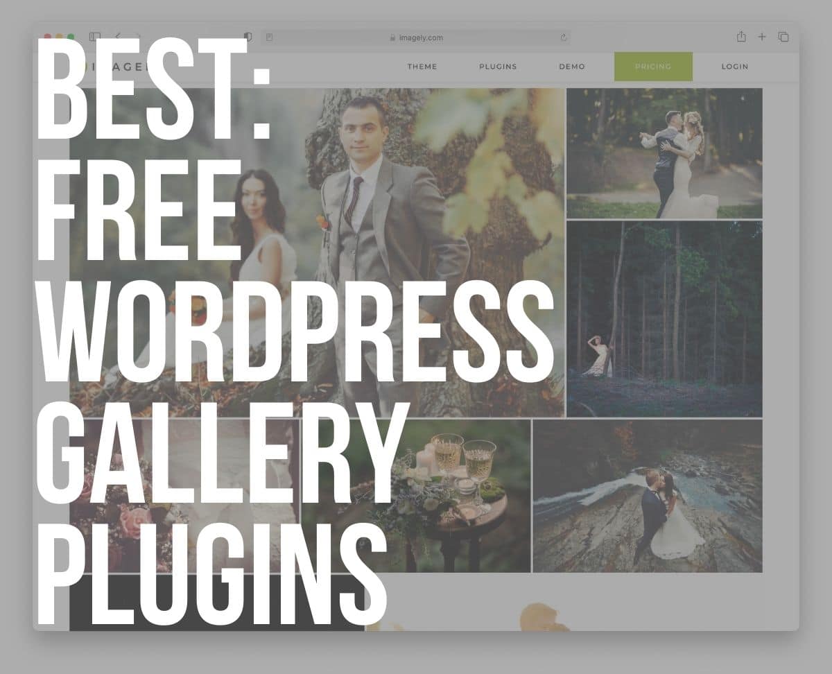 10 Best Free WordPress Gallery Plugins (In 2024) ULTIDA