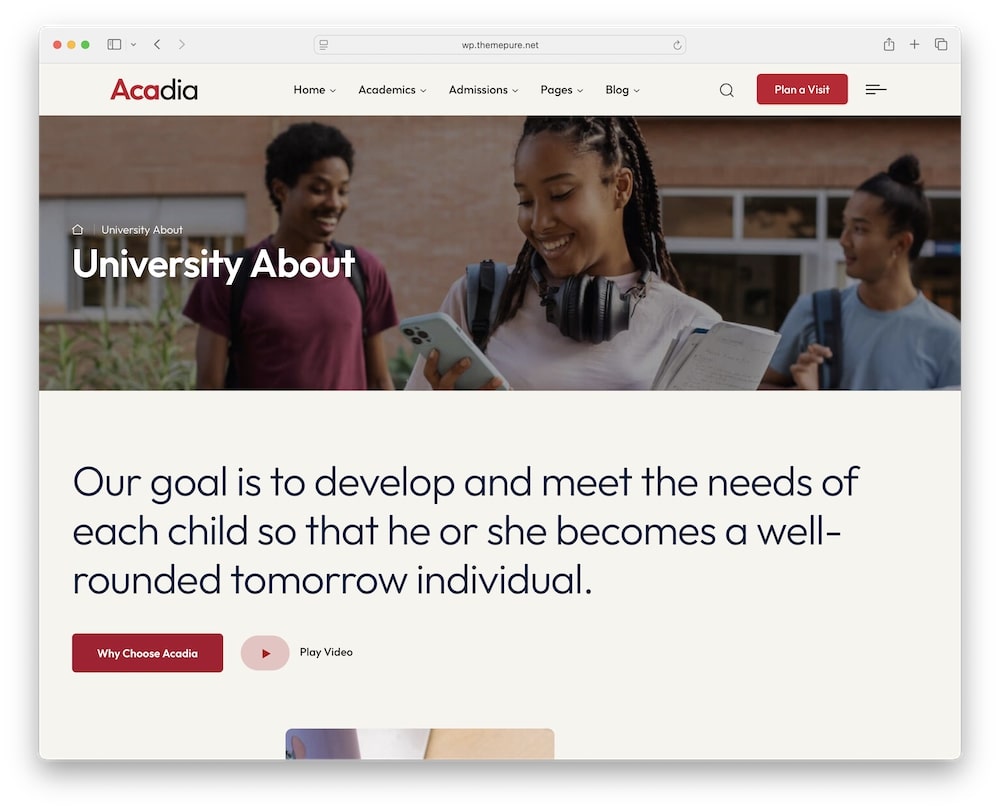 acadia wordpress theme design and customization