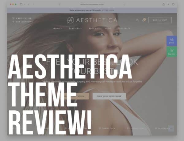 aesthetica wordpress theme review