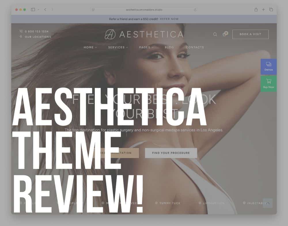 aesthetica wordpress theme review