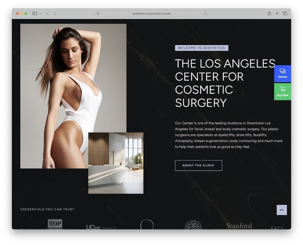 aesthetica wp theme test