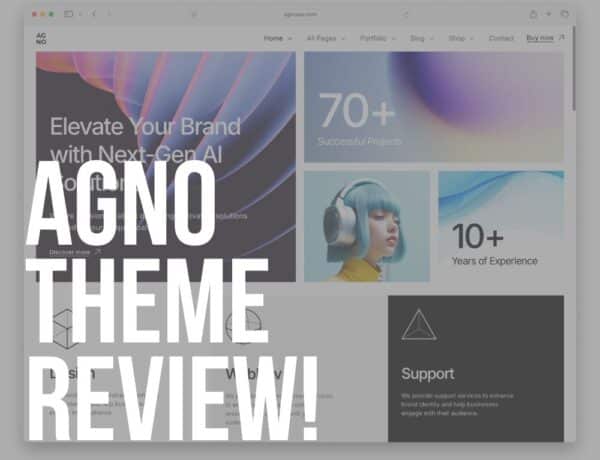 agno wordpress theme review