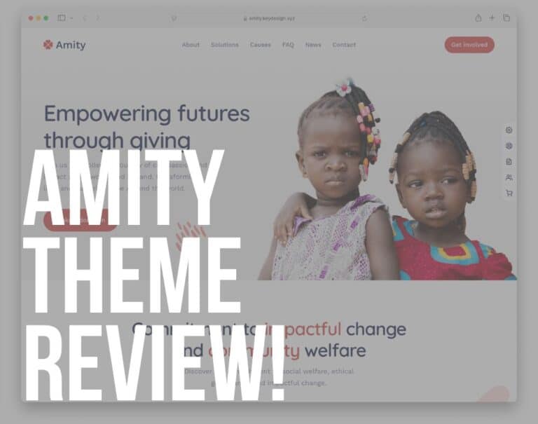 Amity WP Theme Review 2026: The Nonprofit Tool You Need