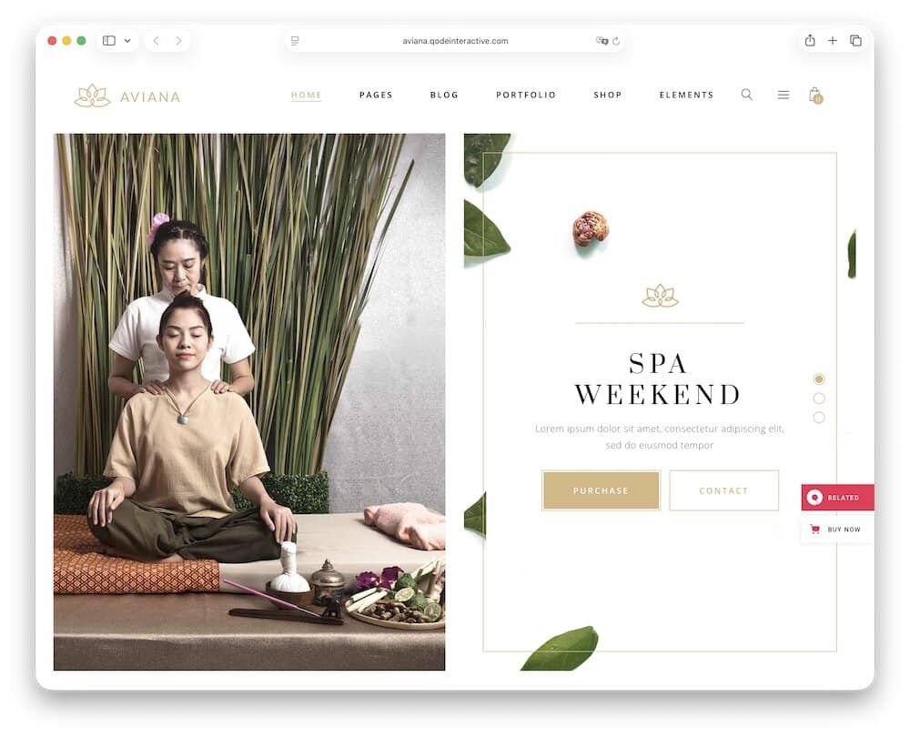 aviana massage salon wordpress theme