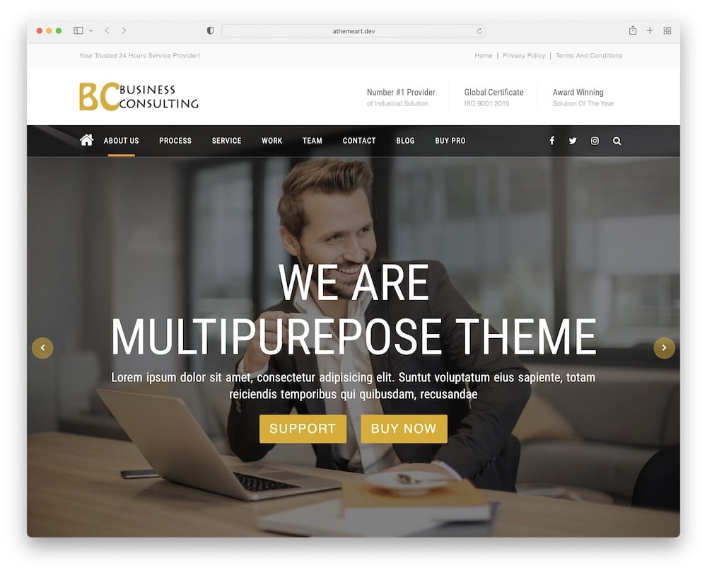 bc business consulting free wp theme