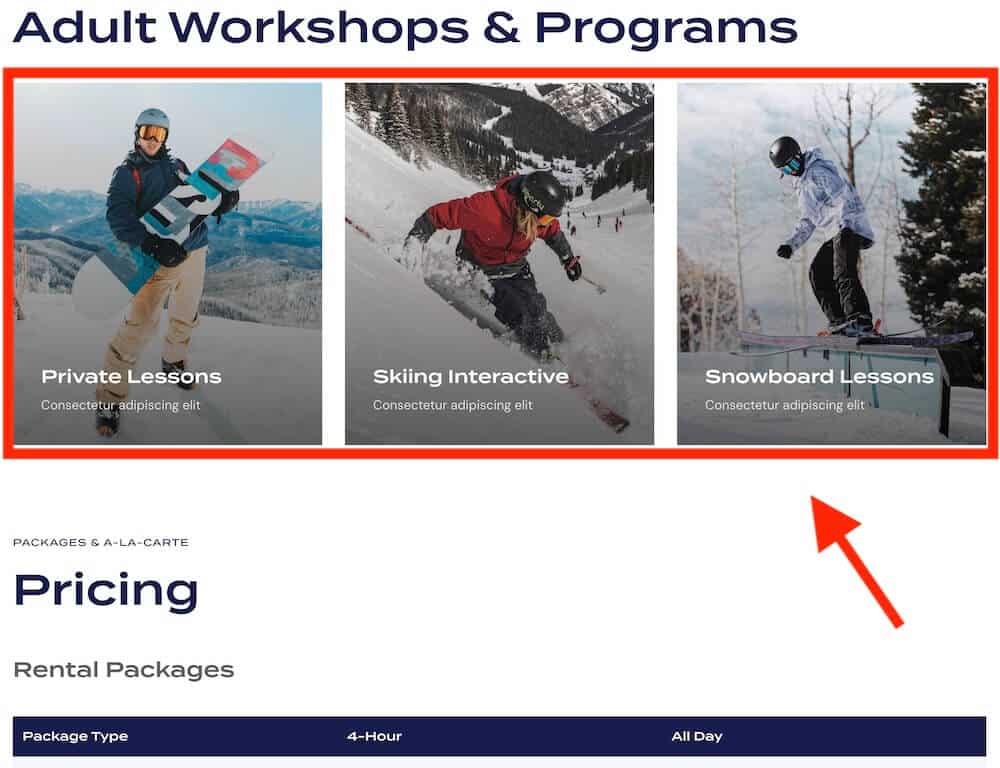 best ski and snowboard resort website features