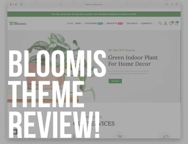 bloomis wordpress theme review