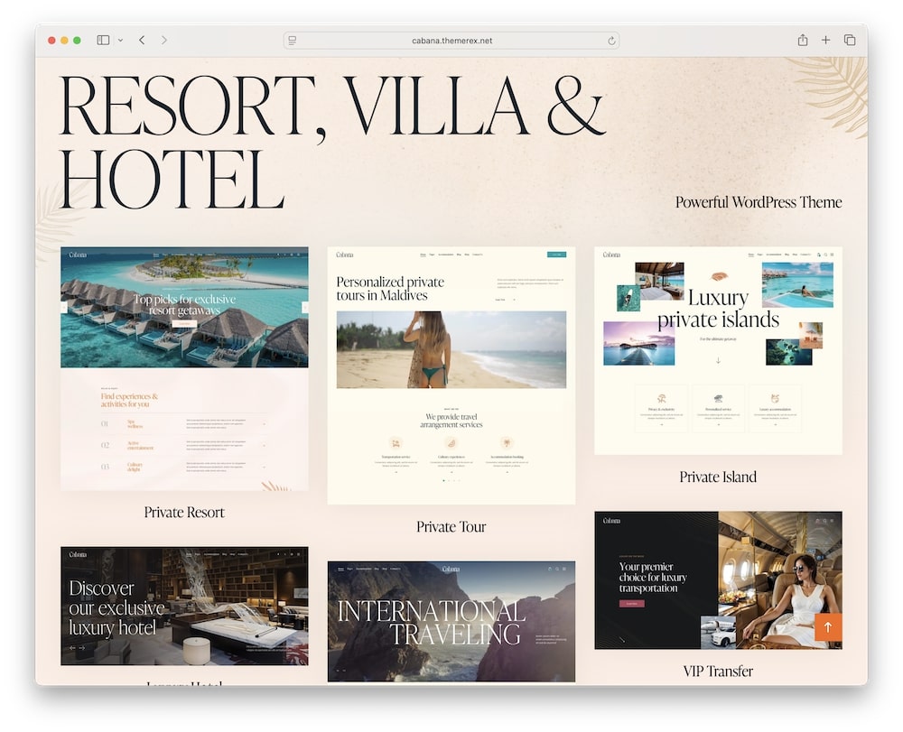 cabana wordpress theme one click demo import