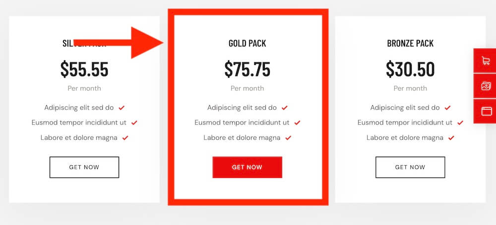 car detailing pricing and package sections