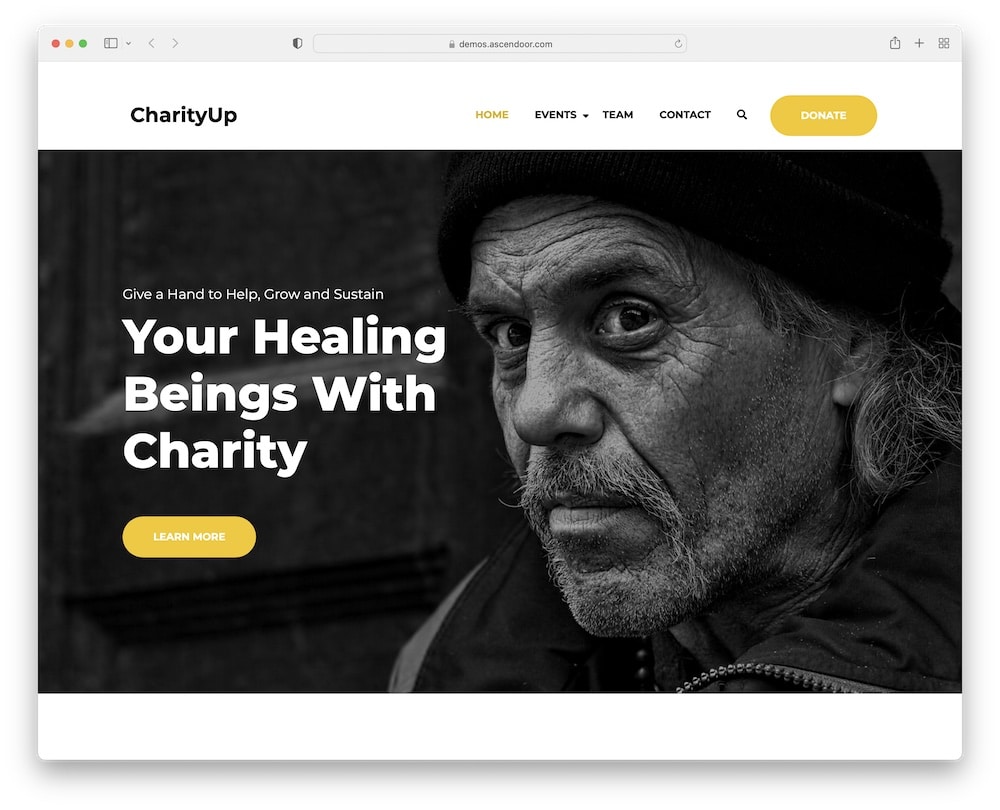 charityup free wordpress charity theme