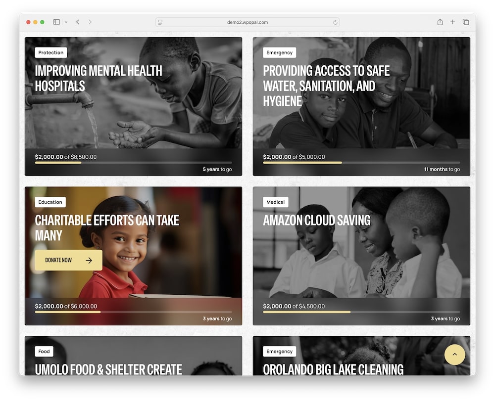 charix wordpress theme donation and campaing management