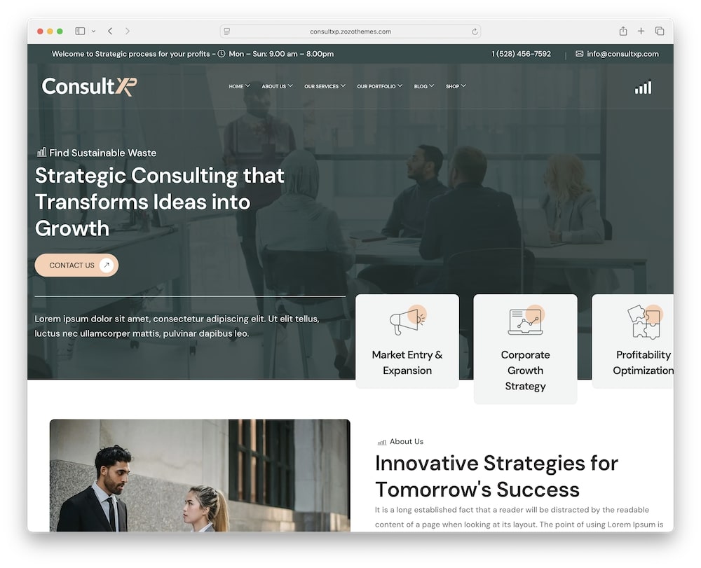 consultxp wordpress theme test 1