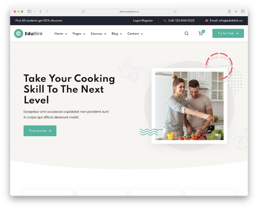 edublink wordpress theme test