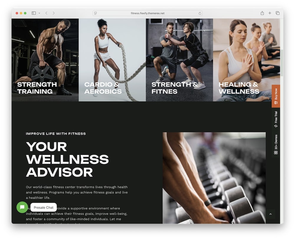 flexify wordpress theme my experience