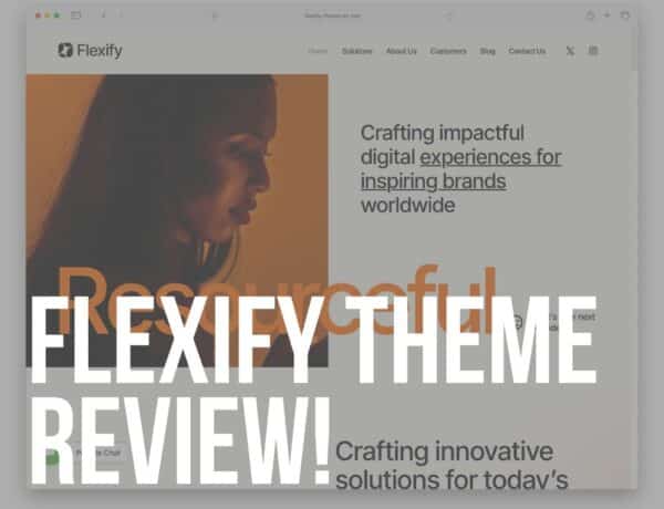 flexify wordpress theme review