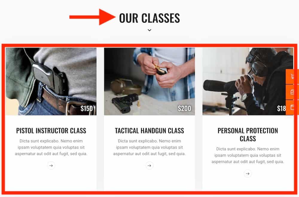 gun training and course details