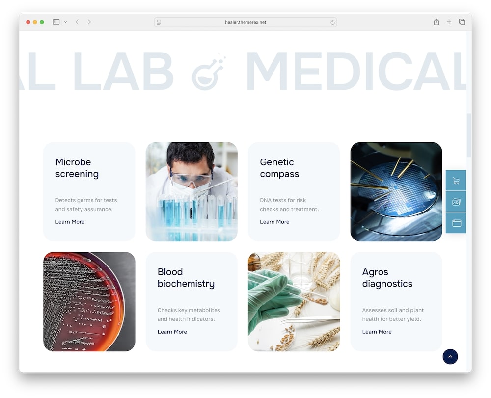 healer wordpress theme test 2