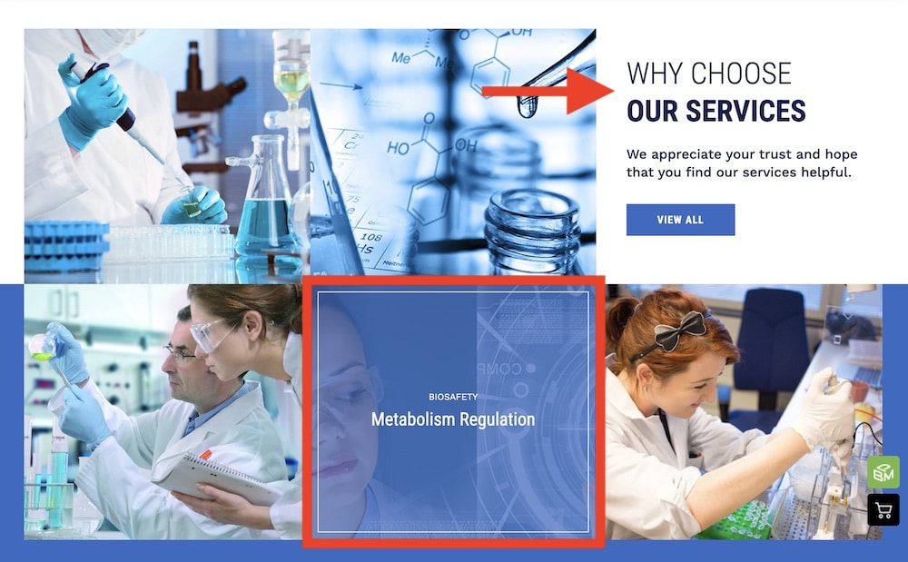 how to choose the right laboratory wordpress theme