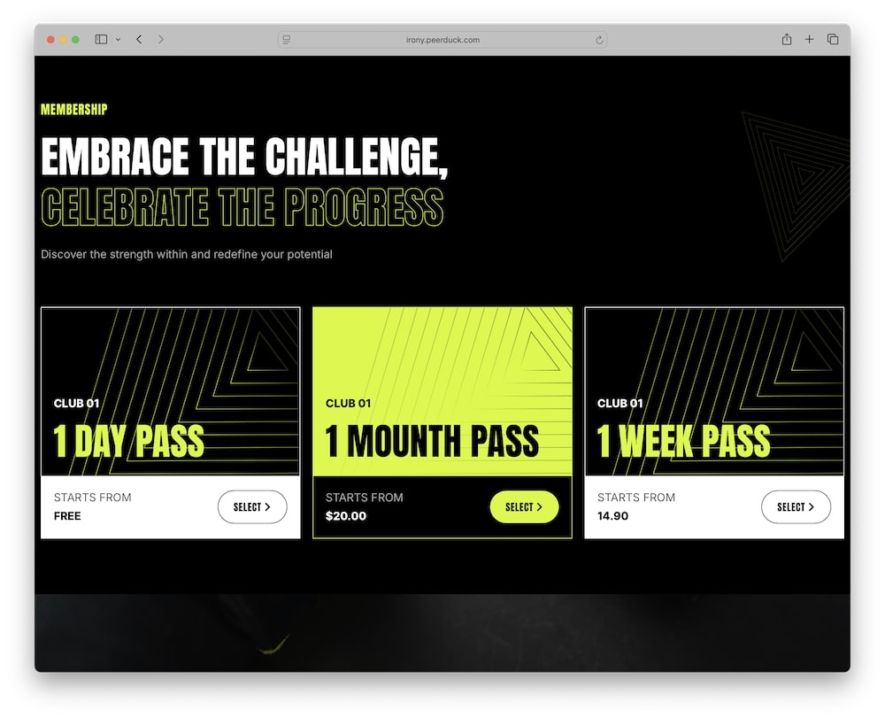 irony wordpress theme membership pricing module