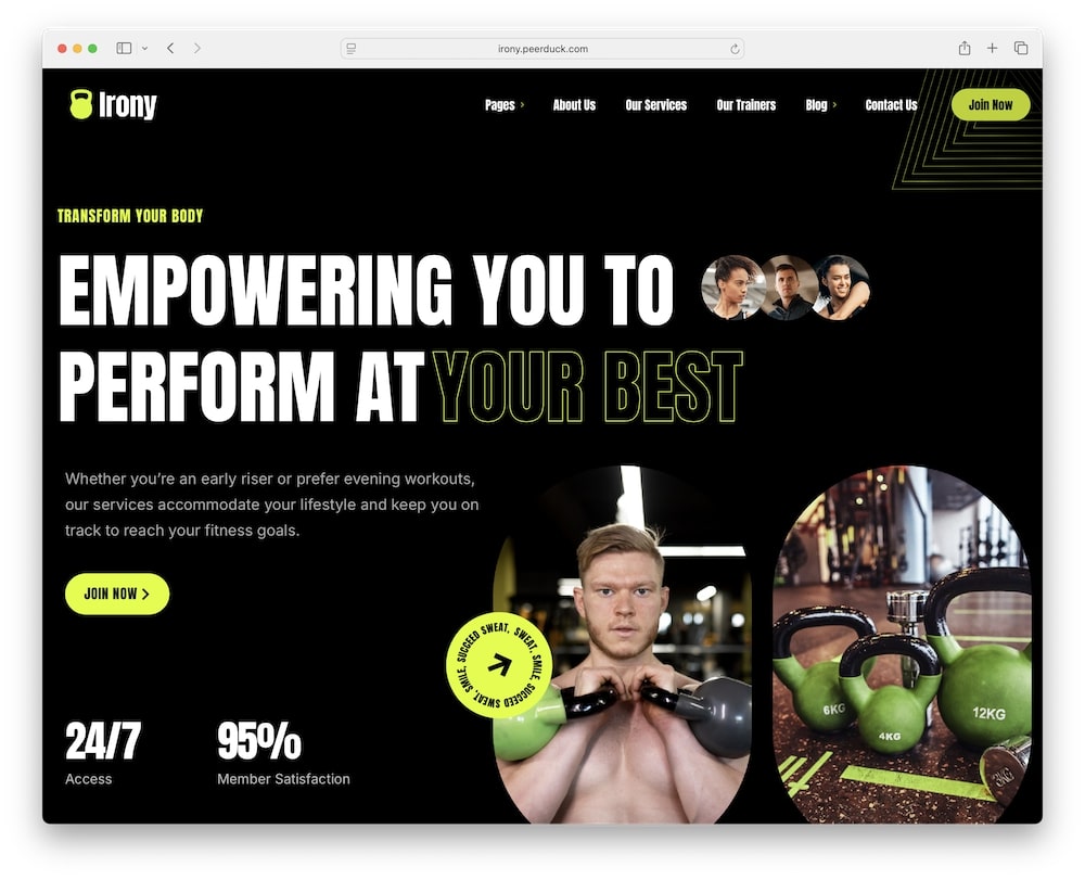 irony wordpress theme predefined demos