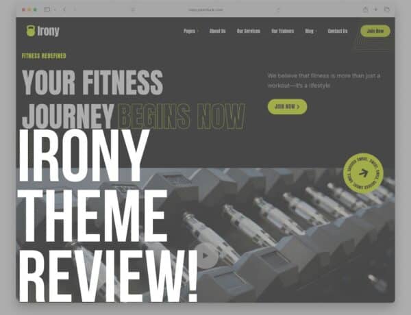 irony wordpress theme review
