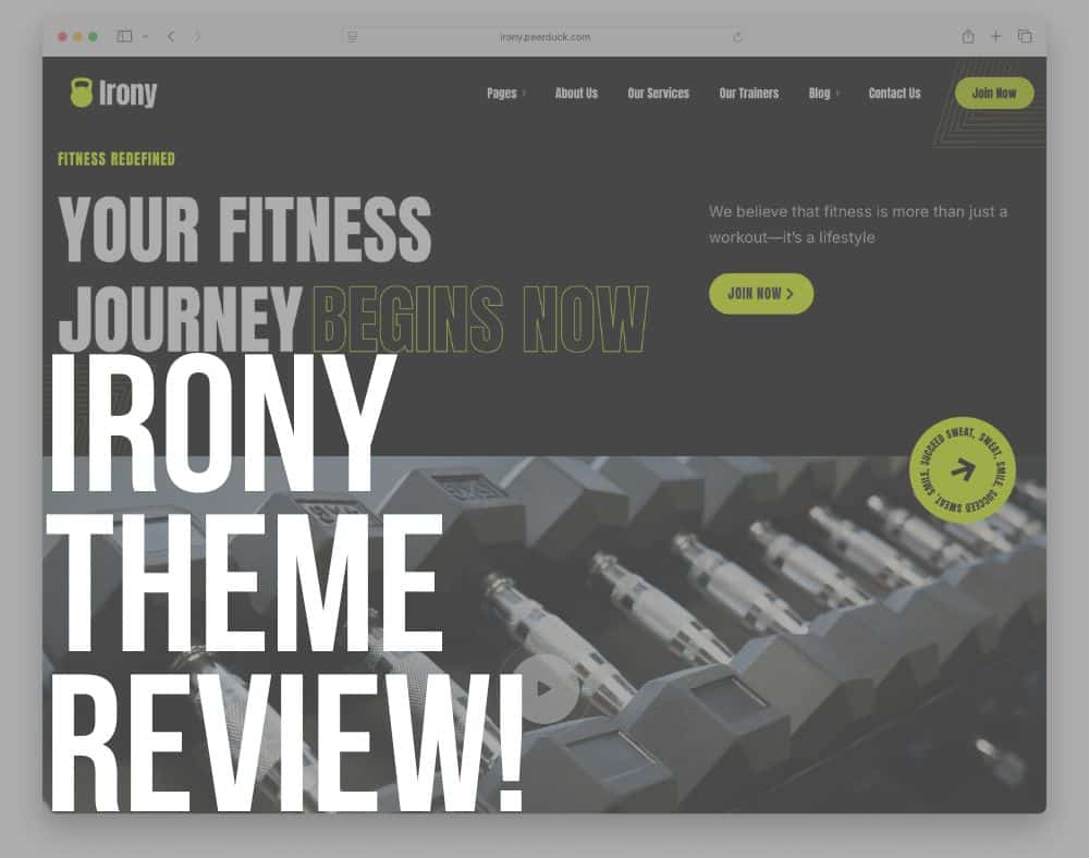 irony wordpress theme review