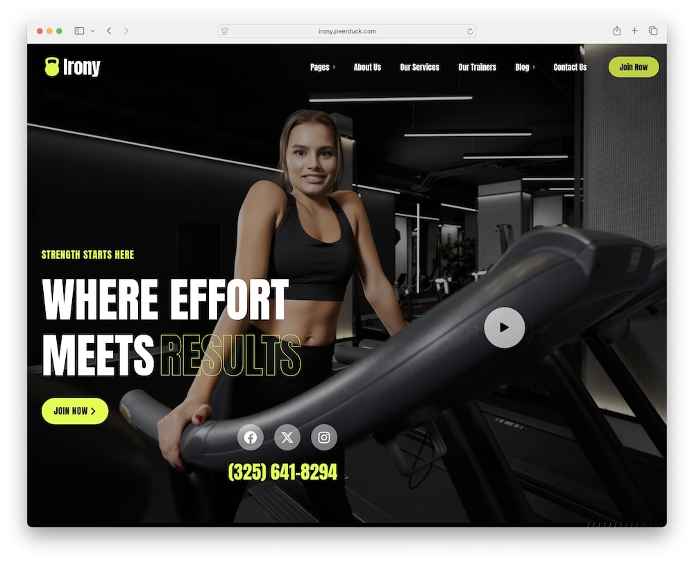 irony wordpress theme test 1
