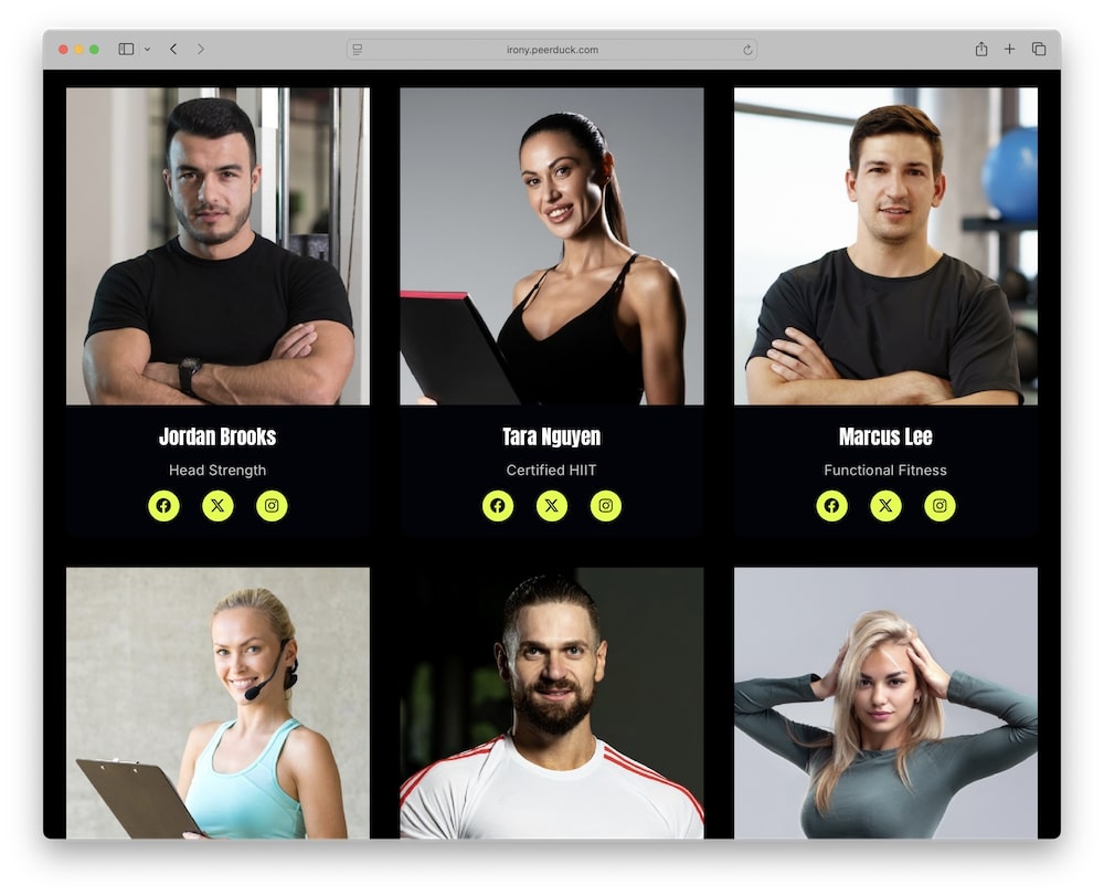 irony wordpress theme trainer and staff showcase