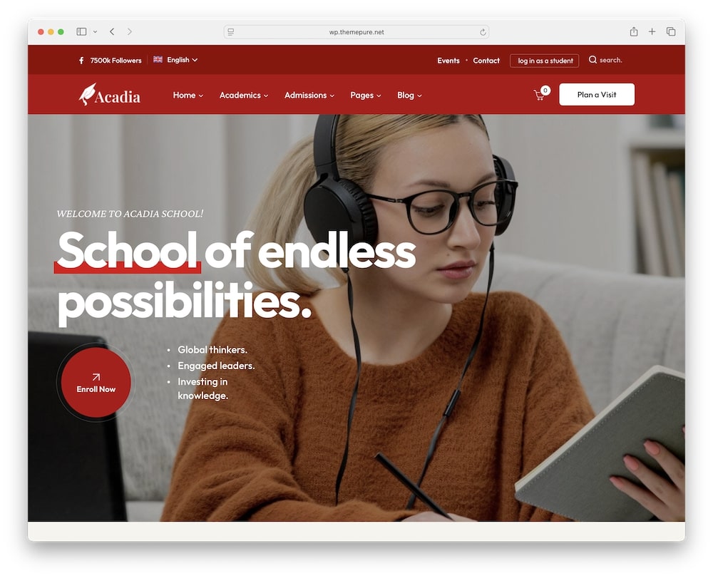 is acadia wordpress theme worth it