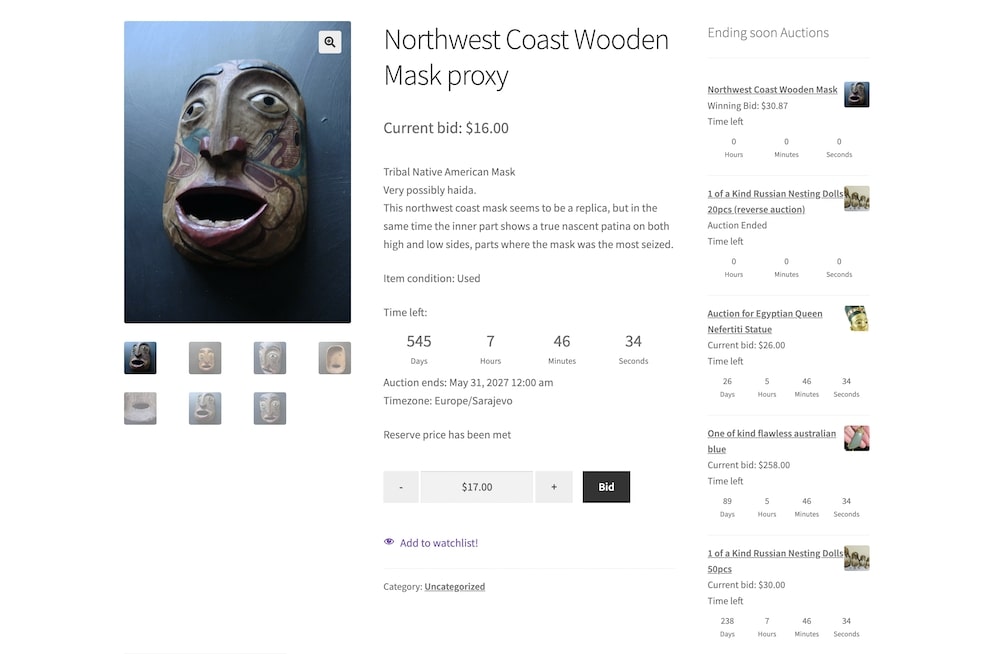 is woocommerce simple auctions plugin right for you