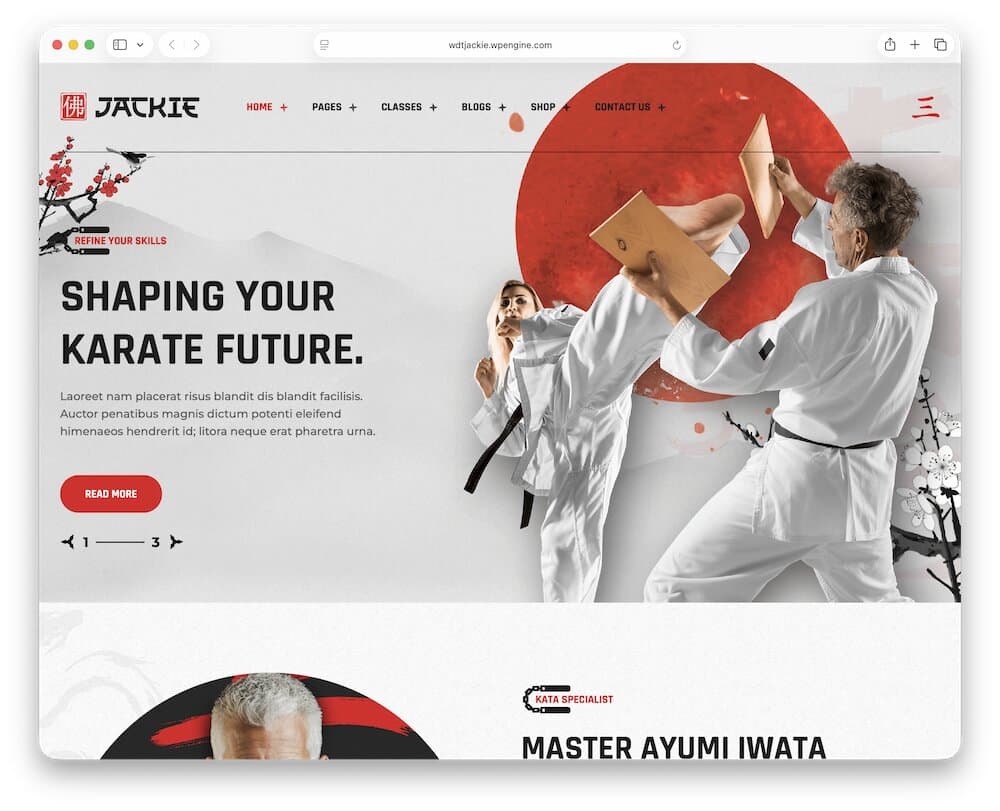 jackie karate wordpress theme
