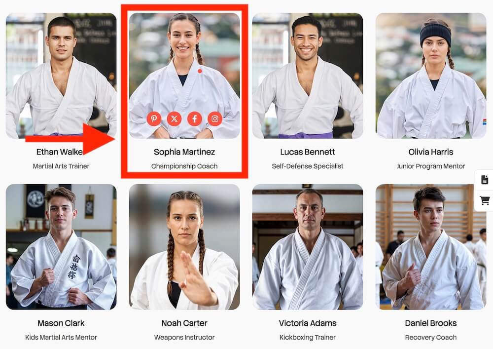 karate instructor profiles