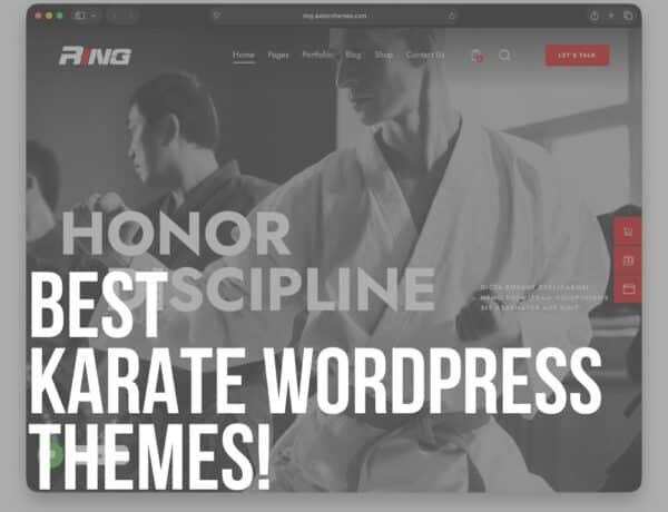best karate wordpress themes