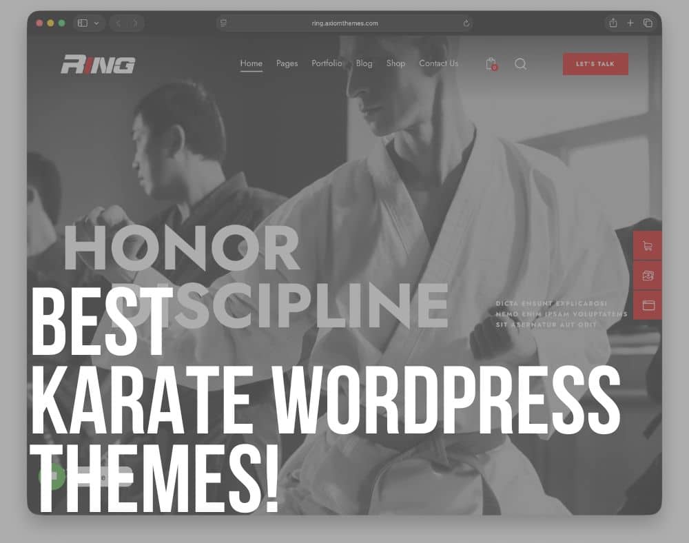 best karate wordpress themes