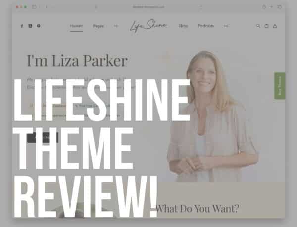 lifeshine wordpress theme review