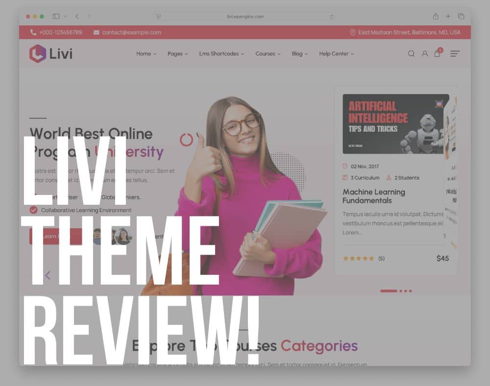 livi wordpress theme review