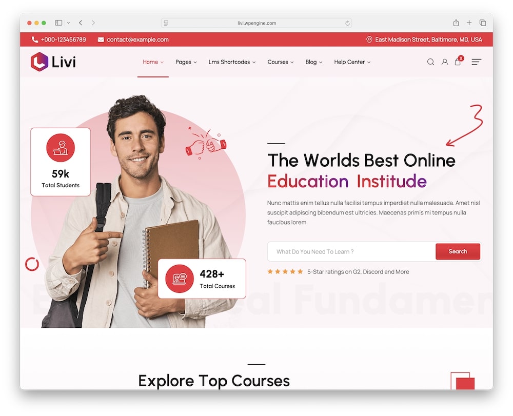 livi wordpress theme for online education websites