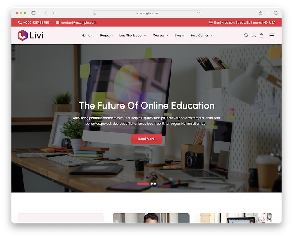 livi wordpress theme test