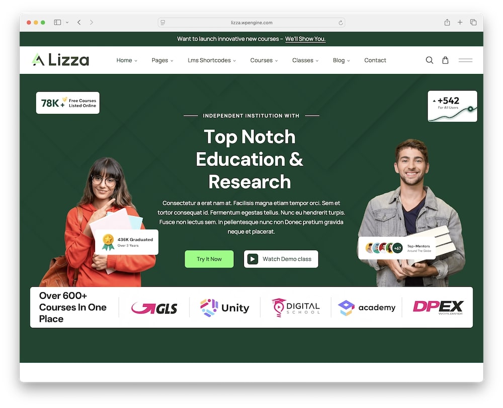 lizza wordpress theme one click demo import