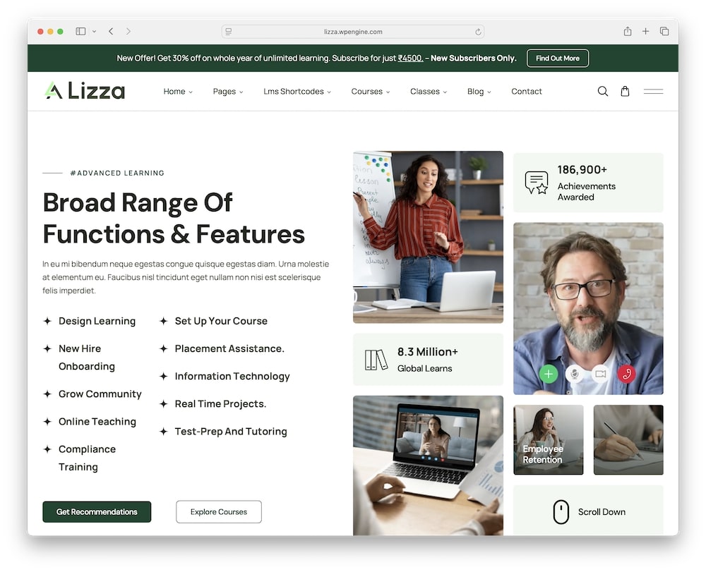 lizza wordpress theme test