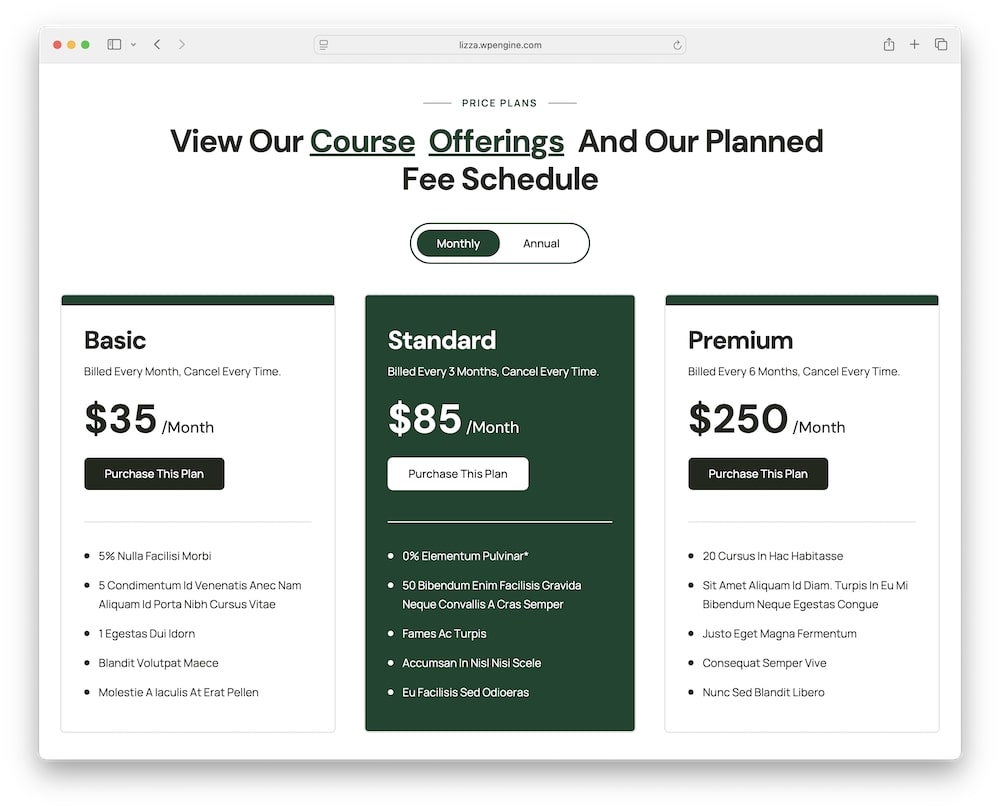 lizza wordpress theme woocommerce ready